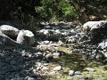 IMG_2162 - Copy